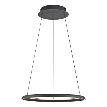 Schöner Wohnen 15570-18 - Lampada sospesa dimmerabile su cavo QUILLO LED/36W/230V Ø 60 cm, nero