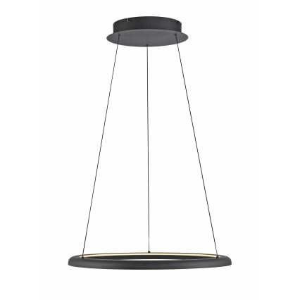 Schöner Wohnen 15570-18 - Lampada sospesa dimmerabile su cavo QUILLO LED/36W/230V Ø 60 cm, nero