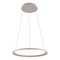Schöner Wohnen 15570-39 - Lampada a sospensione dimmerabile con cavo QUILLO LED/36W/230V, Ø 60 cm, grigio
