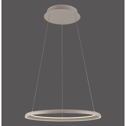 Schöner Wohnen 15570-39 - Lampada a sospensione dimmerabile con cavo QUILLO LED/36W/230V, Ø 60 cm, grigio