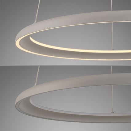 Schöner Wohnen 15570-39 - Lampada a sospensione dimmerabile con cavo QUILLO LED/36W/230V, Ø 60 cm, grigio