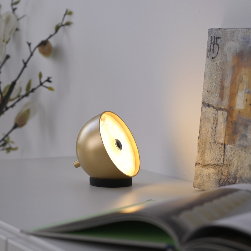 Schöner Wohnen 19244-12 - Lampada da tavolo da esterno ricaricabile a LED dimmerabile con comando touch BELLIS, LED/2,5W/5V, 2600 mAh, IP54, dorata