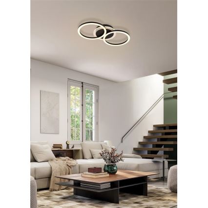 Searchlight - Lampada da soffitto dimmerabile a LED CONTOUR LED/24W/230V 3000K