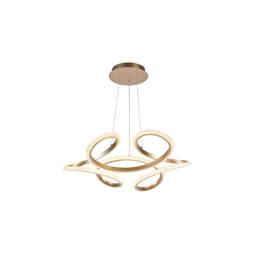 Searchlight - LED lampada a sospensione dimmerabile su cavo DOODLE LED/40W/230V ottone