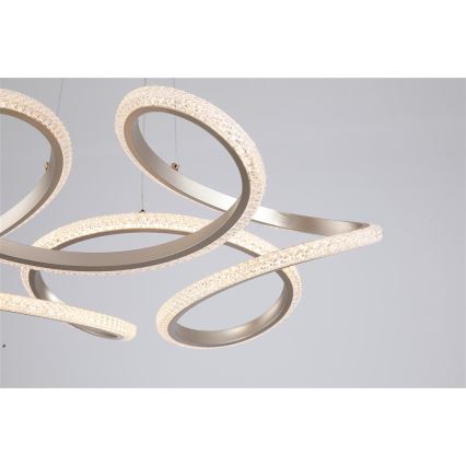 Searchlight - LED lampada a sospensione dimmerabile su cavo DOODLE LED/40W/230V ottone