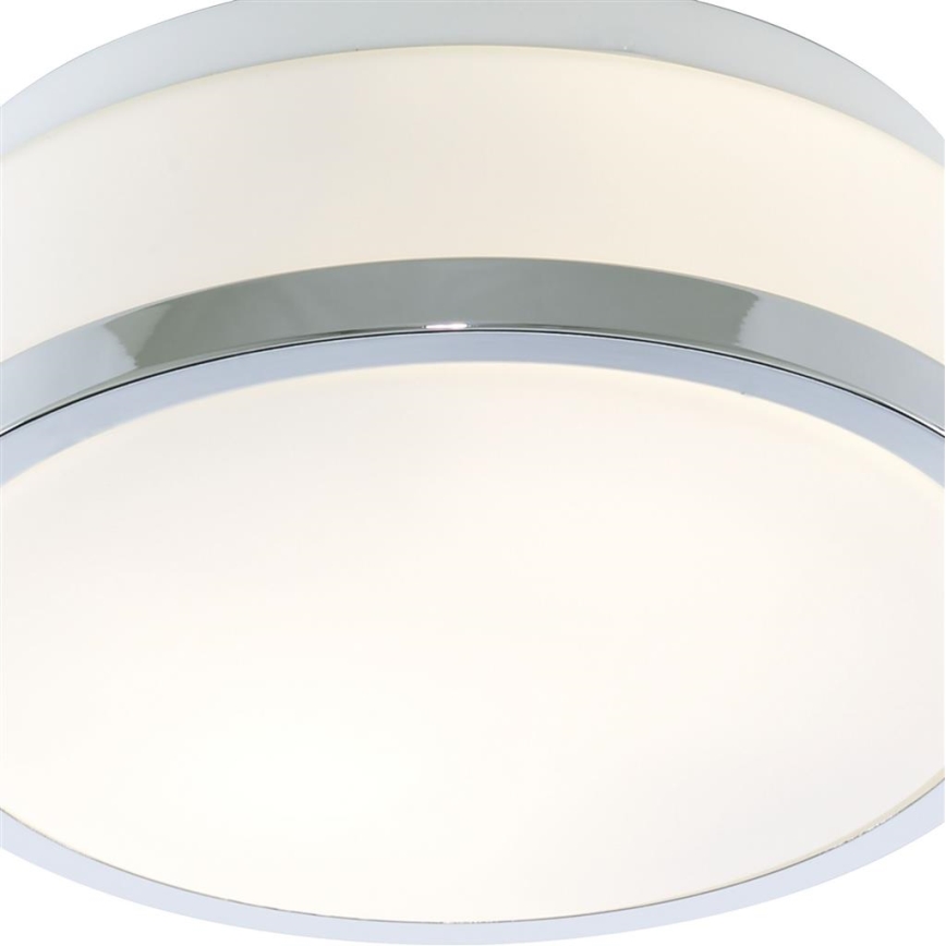 Searchlight - Plafoniera da bagno DISC 1xE27/60W/230V IP44