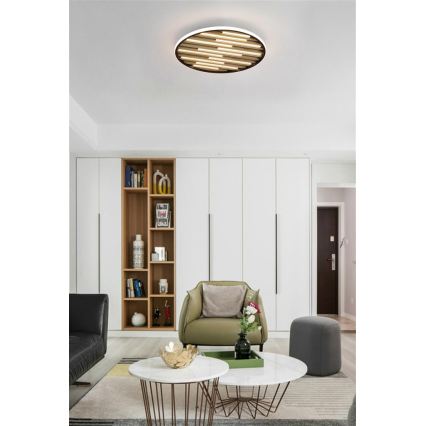 Searchlight - Plafoniera LED dimmerabile EQUALISE LED/33W/230V