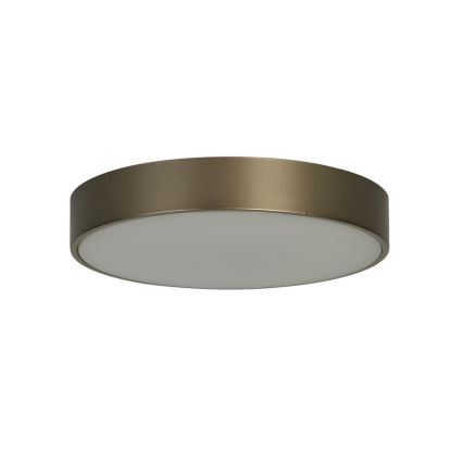 Searchlight - Plafoniera LED PALMA LED/12W/230V 3000K Ø 25 cm bronzo