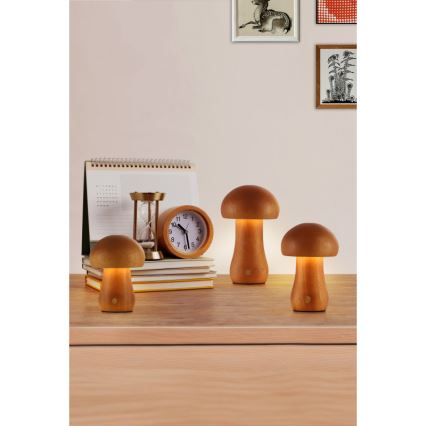 Searchlight - Confezione da 3 lampade da tavolo MUSHROOM LED/1,1W/5V 800 mAh