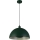 Searchlight - Lampada a sospensione con cavo MARS 1xE27/60W/230V Ø25 cm Verde