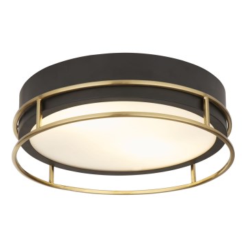 Searchlight - Plafoniera da bagno PHEONIX 2xE14/60W/230V diametro 30 cm IP44