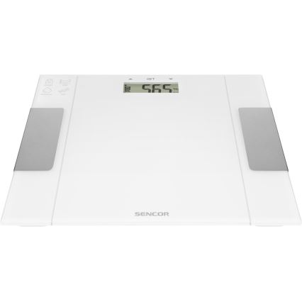 Sencor - Bilancia fitness personale intelligente 1xCR2032 bianco