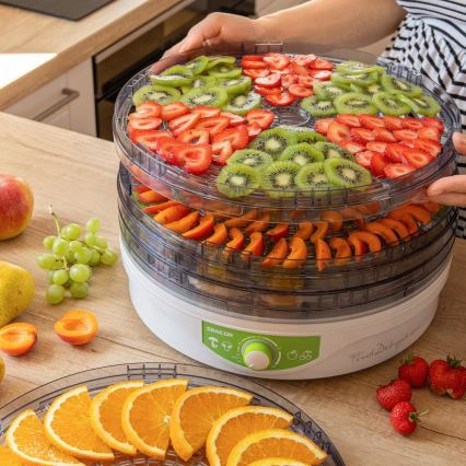 Sencor - Essiccatore per alimenti con termoregolatore 250W/230V