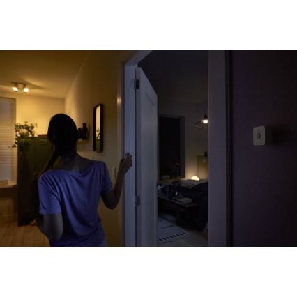 Sensore di movimento Philips Hue 2xAAA