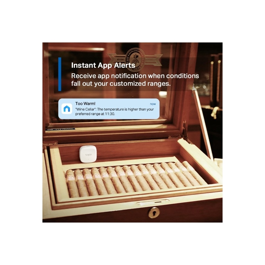 Sensore intelligente per temperatura e umidità 1xCR2450