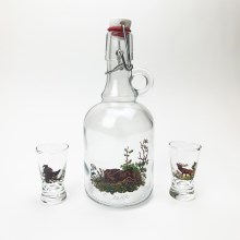 Set 1x vetro bottle e 2x bicchiere per shot limpido