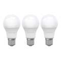 SET 3x Lampadina LED ECOLINE A60 E27/15W/230V 6500K - Brilagi