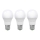 SET 3x Lampadina LED ECOLINE A60 E27/15W/230V 6500K - Brilagi