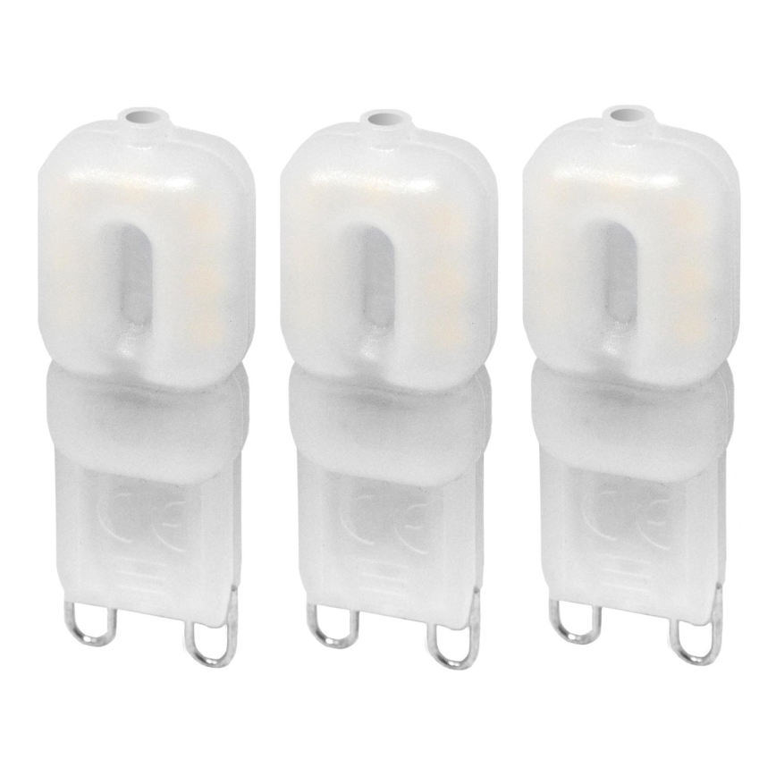 SET 3x Lampadina LED ECOLINE G9/2,5W/230V 3000K - Brilagi