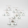 Set 6x tazza di vetro con piattino limpido bouquet no 2