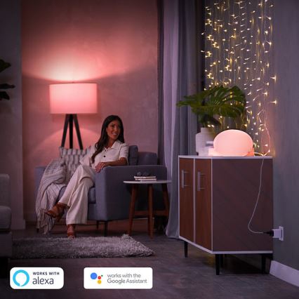 Set da 2 prese intelligenti Philips Hue Smart Plug