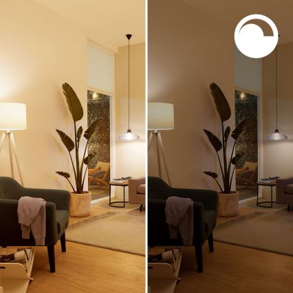 Set da 3 lampadine LED RGB dimmerabili Philips SMART C37 E14/4,9W/230V 2200-6500K CRI 90