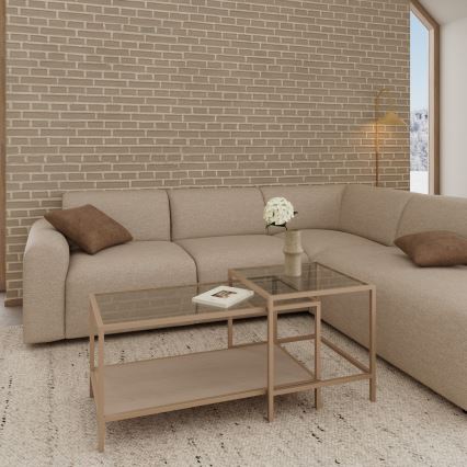 Set di 2 tavolini da salotto SARON 90x50 cm, grigio/trasparente