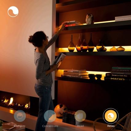 Set di strisce LED Philips Hue LightStrips 2m