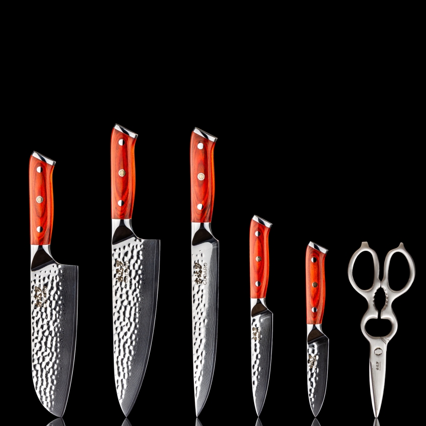 Set Gudaro - 5 coltelli da cucina in acciaio damascato MIYABI + supporto per coltelli e forbici per pollame