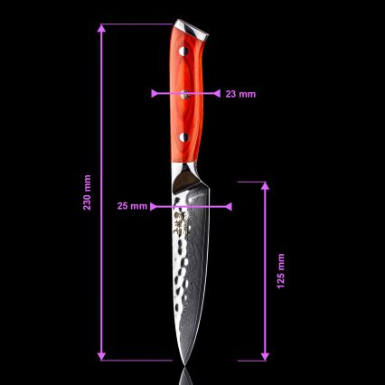 Set Gudaro - 5 coltelli da cucina in acciaio damascato MIYABI + supporto per coltelli e forbici per pollame