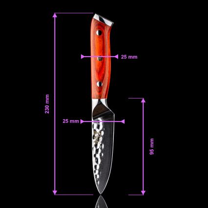 Set Gudaro - 5 coltelli da cucina in acciaio damascato MIYABI + supporto per coltelli e forbici per pollame