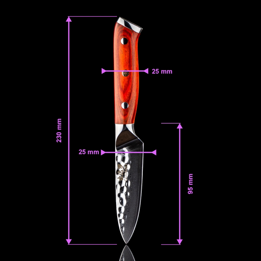 Set Gudaro - 5 coltelli da cucina in acciaio damascato MIYABI + supporto per coltelli e forbici per pollame