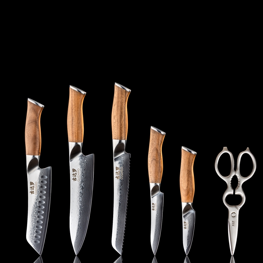 Gudaro - Set di 5 coltelli da cucina in acciaio damascato TAKUMI + ceppo per coltelli e forbici per pollame