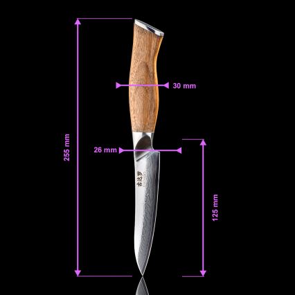 Gudaro - Set di 5 coltelli da cucina in acciaio damascato TAKUMI + ceppo per coltelli e forbici per pollame