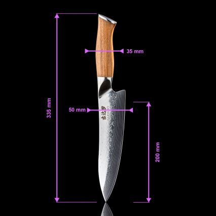 Gudaro - Set di 5 coltelli da cucina in acciaio damascato TAKUMI + ceppo per coltelli e forbici per pollame