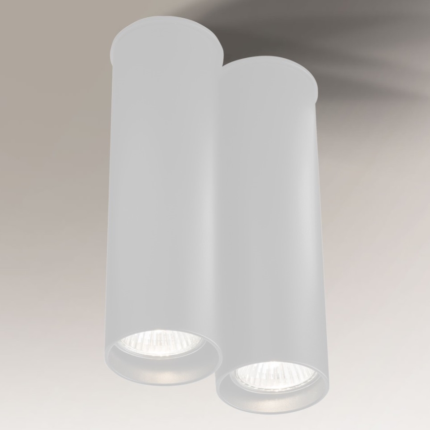 Shilo -Plafoniera 2xGU10/15W/230V bianca