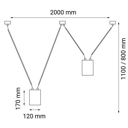 Shilo - Lampadario a sospensione con filo 2xGU10/15W/230V ragno nero