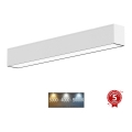 Sinclair - Lampada da soffitto LED LSM LED/40W/230V 3000K/4000K/5000K 120 cm argento