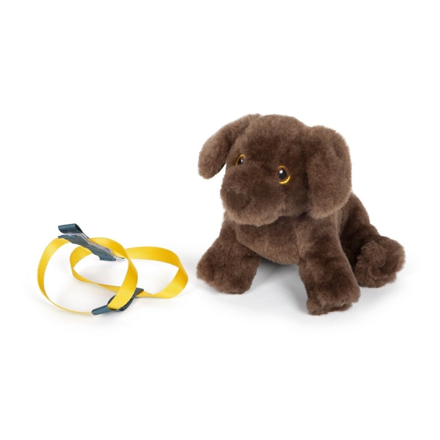 Small Foot - Peluche cane con kit di cura