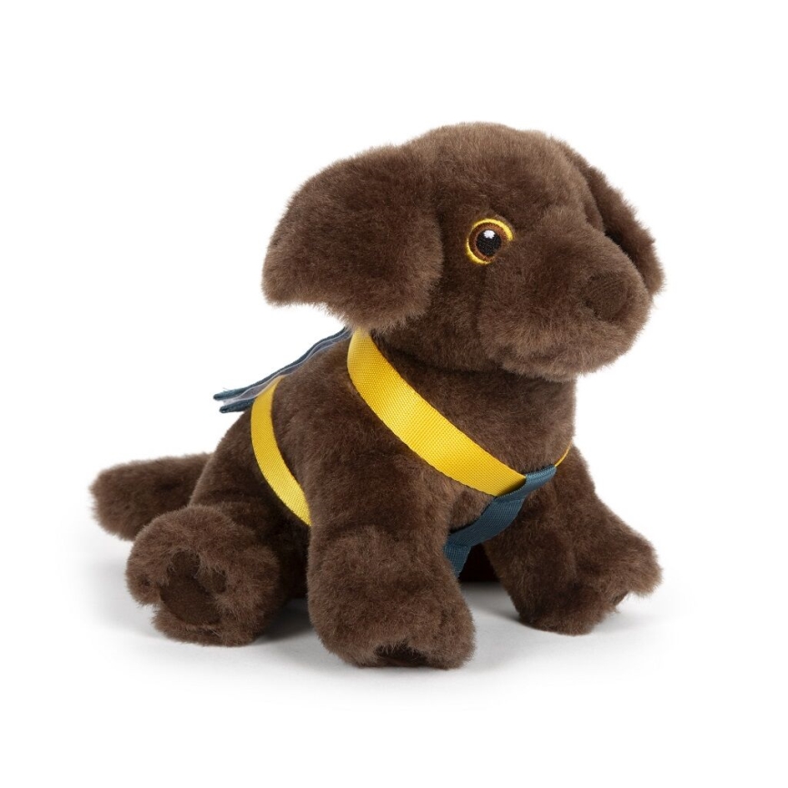 Small Foot - Peluche cane con kit di cura