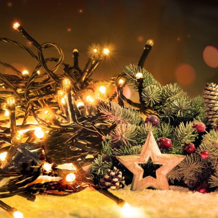 Catena luminosa LED da esterno 50 LED/8 funzioni 8 m IP44 bianco caldo