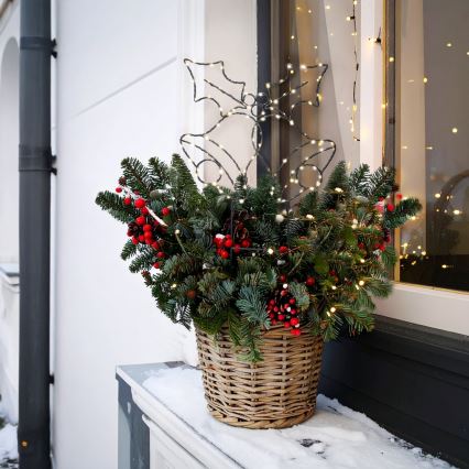 Decorazione natalizia LED da esterno 100x LED/3x AA IP44 bianco caldo campanelle