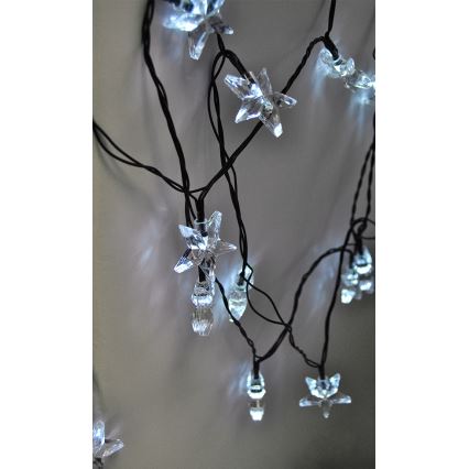 Catena natalizia LED 3m 20xLED/230V