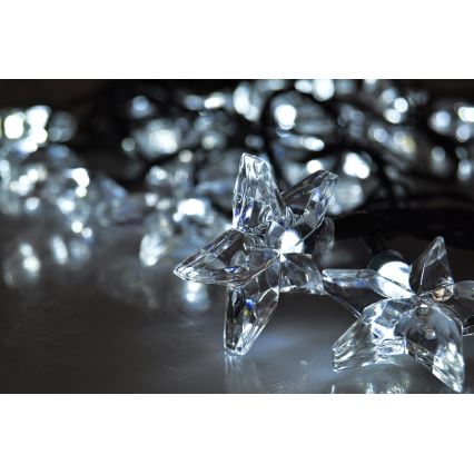 Catena natalizia LED 3m 20xLED/230V