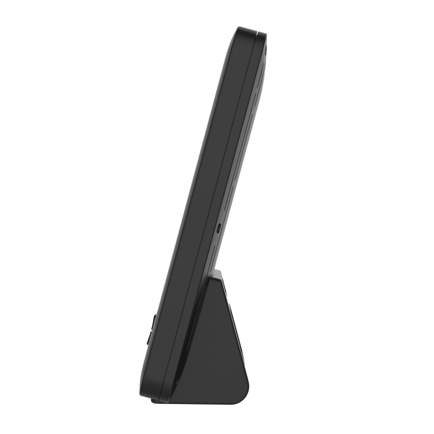 Stazione meteo professionale con display LCD 2xAA Wi-Fi Tuya
