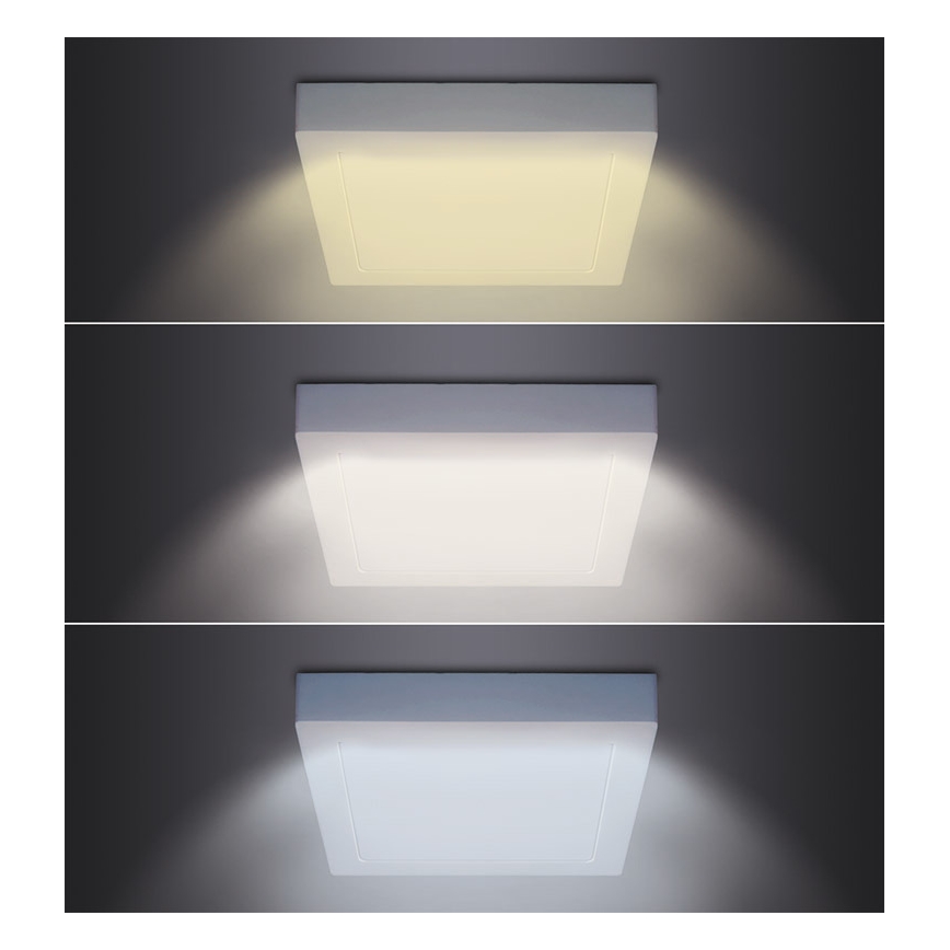 Plafoniera LED/12W/230V 3000/4000/6000K 17x17 cm bianca