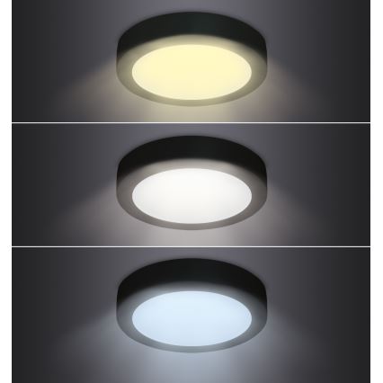 Plafoniera LED LED/18W/230V 3000/4000/6000K nero rotondo