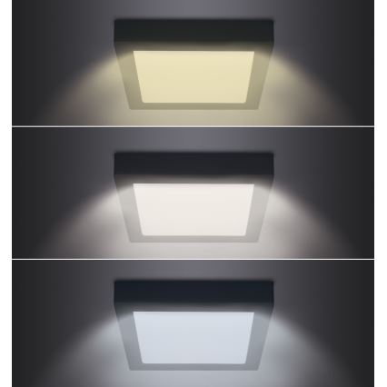 LED Plafoniera LED/18W/230V 3000/4000/6000K nero angolare
