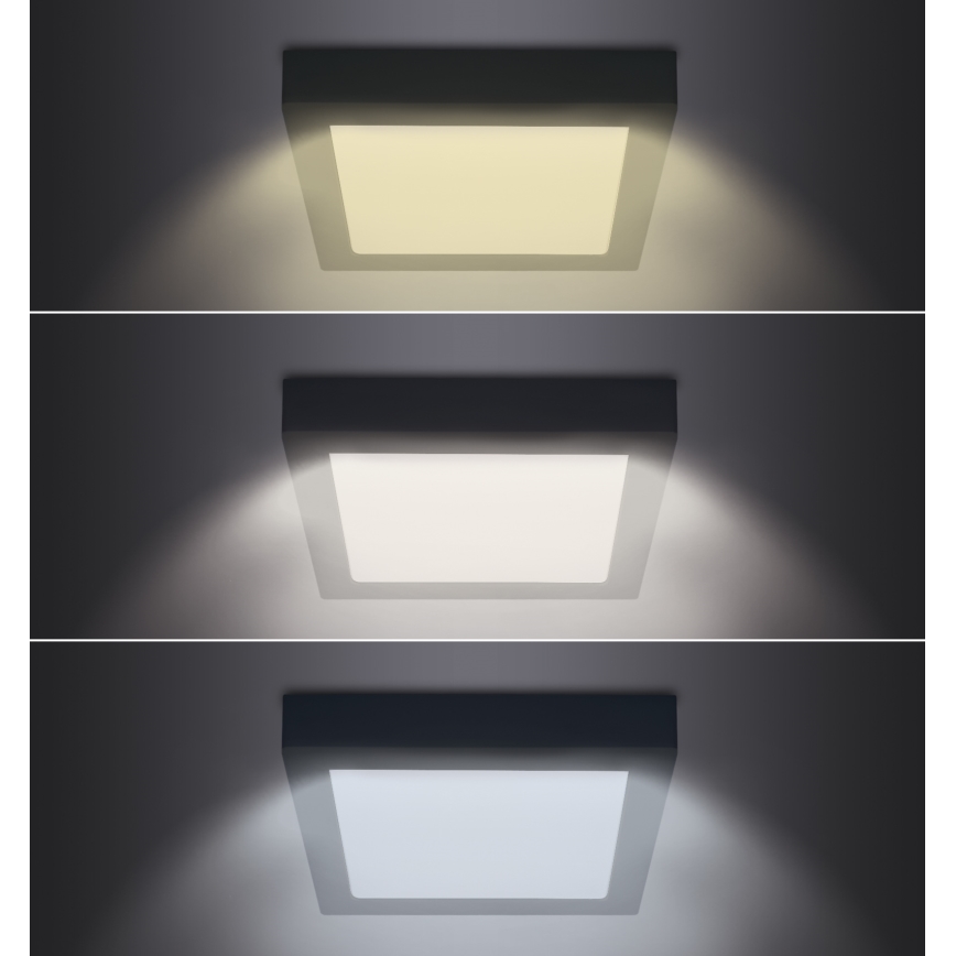 LED Plafoniera LED/18W/230V 3000/4000/6000K nero angolare