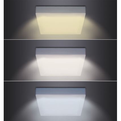 Plafoniera LED/18W/230V 3000/4000/6000K 22,5x22,5 cm bianca